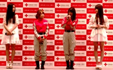 赤十字キャンペーン使用.JPG