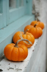 pumpkin151019.jpg