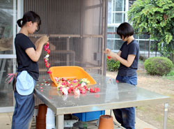 夏休みも文化祭準備に励む