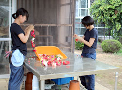 夏休みも文化祭準備に励む