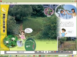 大日本図書 デジタル教科書画像