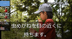 器具の説明動画はすべて提供。字幕・音声のオンオフを選択でき、字幕の位置や大きさも設定できる