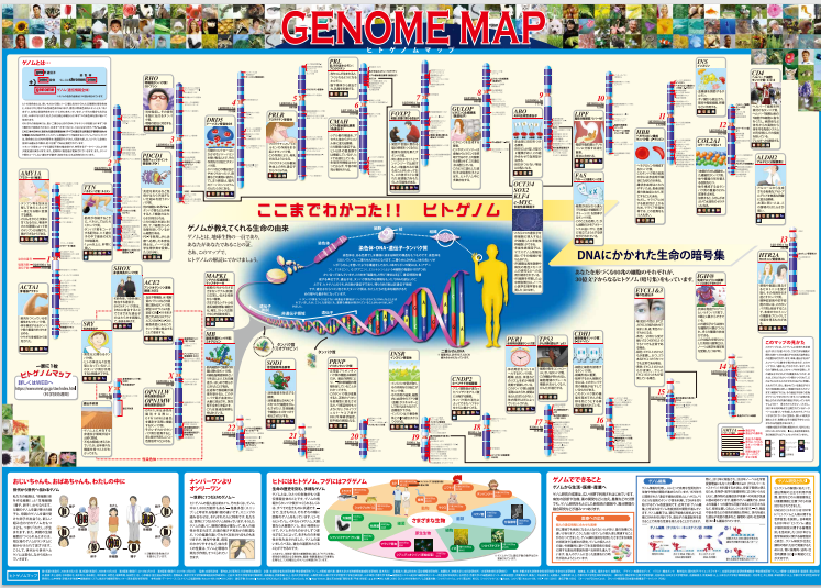 学習資料「一家に1枚 ヒトゲノムマップ」第4版第1刷を公表 文科省｜KKS