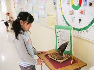 「皮付きたけのこ」の実物展示の様子