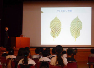 観察することの大切さを教える白川氏