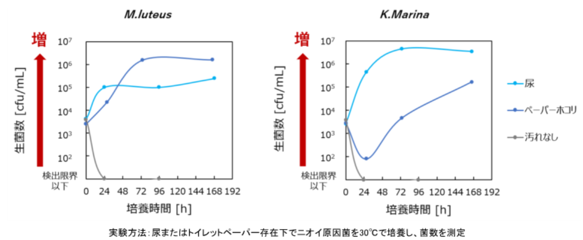 トイレットペーパー由来のホコリがトイレの「ニオイ菌」の栄養源になることを確認　尿汚れやペーパーホコリがあると生育期間が大幅に伸長〜ライオンの研究結果