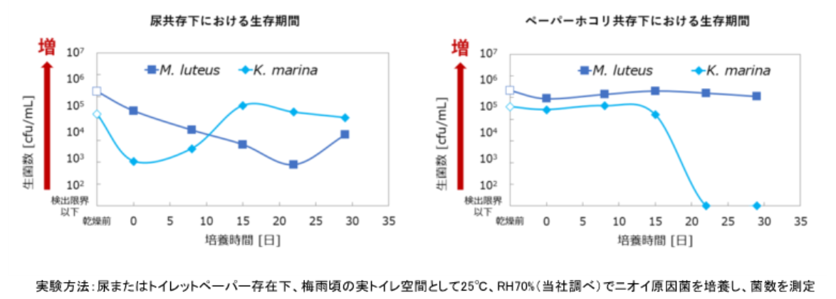 トイレットペーパー由来のホコリがトイレの「ニオイ菌」の栄養源になることを確認　尿汚れやペーパーホコリがあると生育期間が大幅に伸長〜ライオンの研究結果