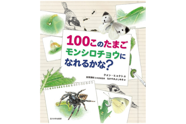 『100このたまご　モンシロチョウになれるかな？』クォン・ヒョクト／作、友常満利／日本語版監修、なかやまよしゆき／訳