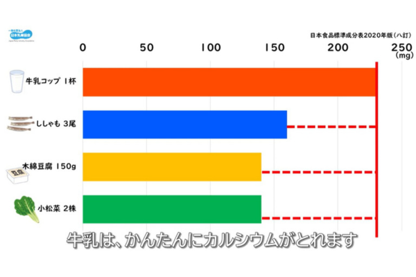 カルシウムを骨に蓄えられるのは20歳頃まで～日本乳業協会が動画教材提供