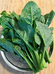 8月/ゴーヤの卵炒め