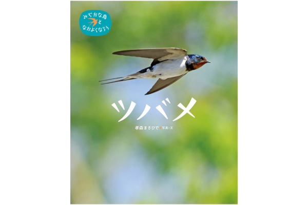 みぢかな鳥となかよくなろう　ツバメ