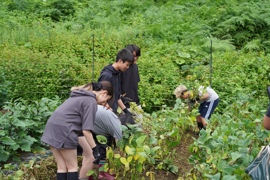 修学旅行は“観光”から“探究”へ、ドルトン東京学園がNTT東日本と連携し探究旅行を実施