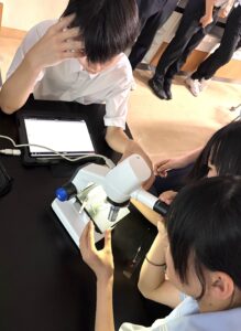 8グループの顕微鏡画面を一斉提示・共有して書き込み～福井大学教育学部義務教育学校7年生